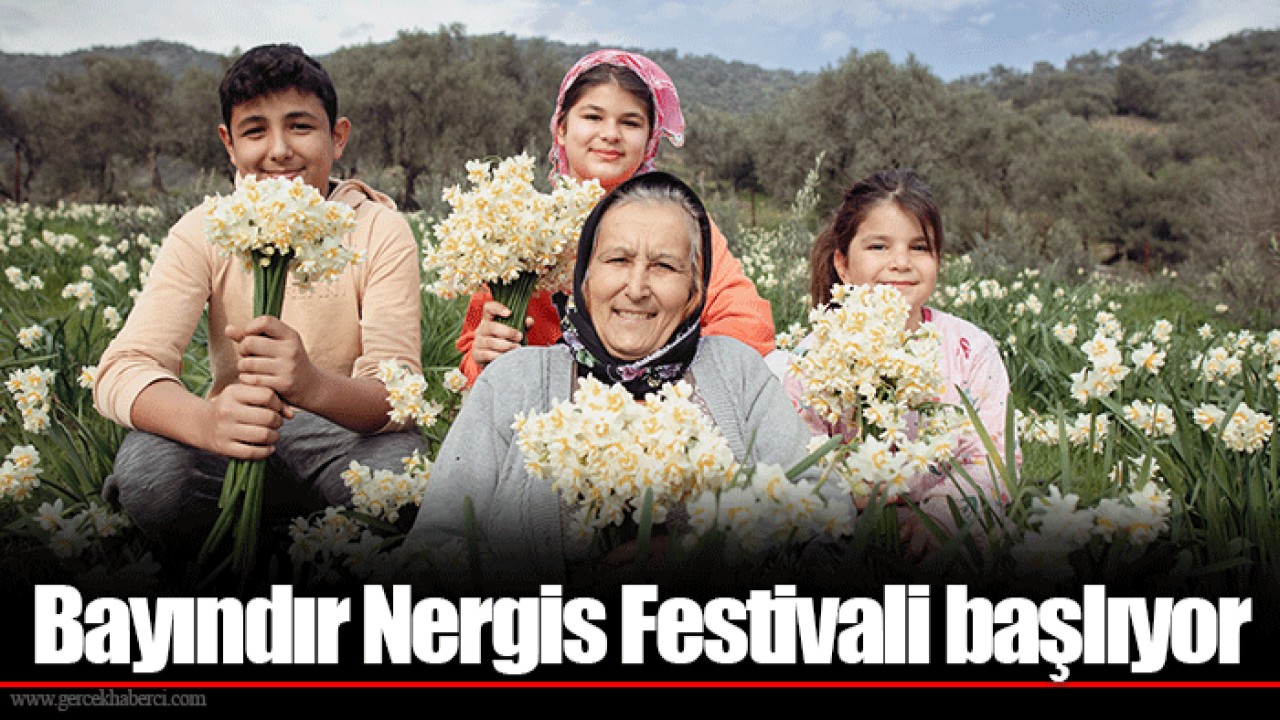 Bayındır Nergis Festivali başlıyor