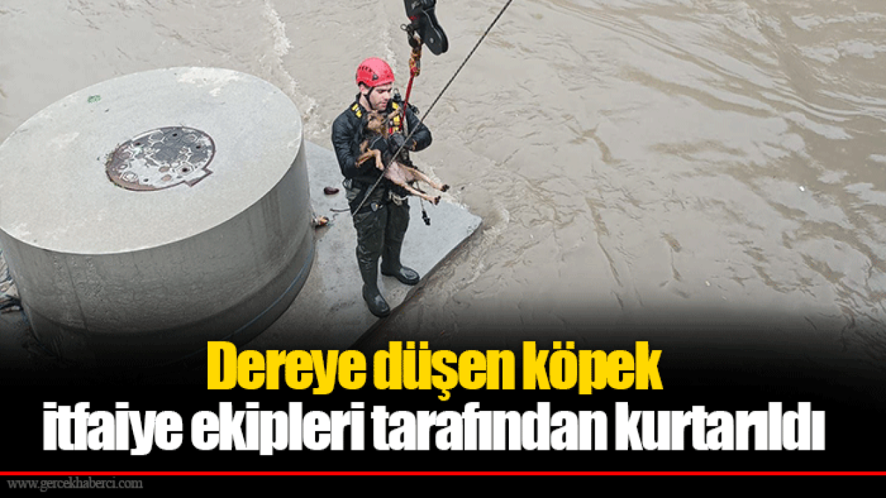 Dereye düşen köpek itfaiye ekipleri tarafından kurtarıldı