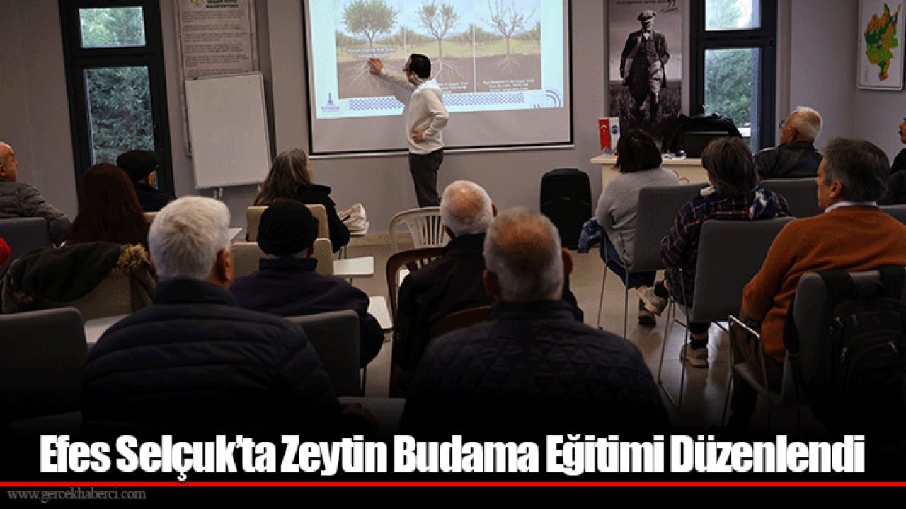 Efes Selçuk’ta Zeytin Budama Eğitimi Düzenlendi