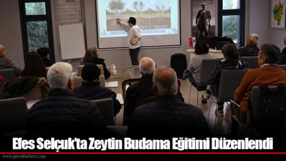 Efes Selçuk’ta Zeytin Budama Eğitimi Düzenlendi