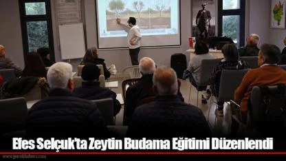 Efes Selçuk’ta Zeytin Budama Eğitimi Düzenlendi
