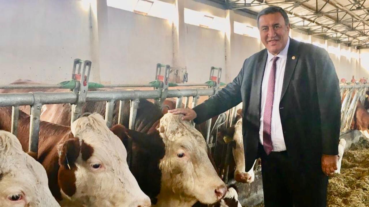 Gürer: “3 yılda ithalatı bitireceğiz dediler, her yıl artırarak devam ettiler”