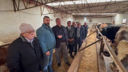 Gürer, "Hayvan varlığı eriyor, ithalata kapı açılıyor"