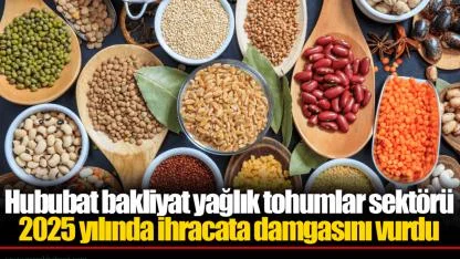 Hububat bakliyat yağlık tohumlar sektörü 2025 yılında ihracata damgasını vurdu