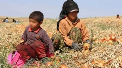 İSİG Meclisi açıkladı: 2025 yılında en az 94 çocuk çalışırken hayatını kaybetti