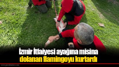 İzmir İtfaiyesi ayağına misina dolanan flamingoyu kurtardı