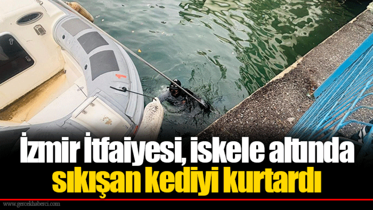 İzmir İtfaiyesi, iskele altında sıkışan kediyi kurtardı