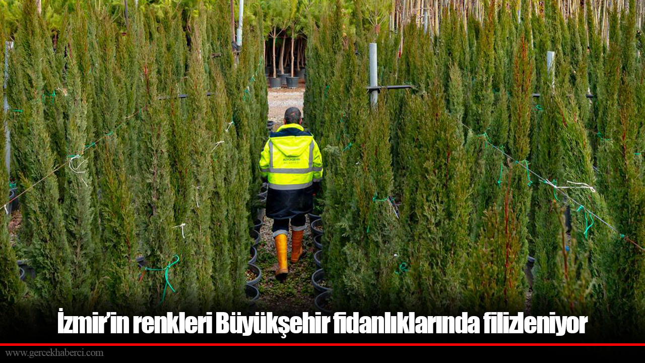 İzmir’in renkleri Büyükşehir fidanlıklarında filizleniyor