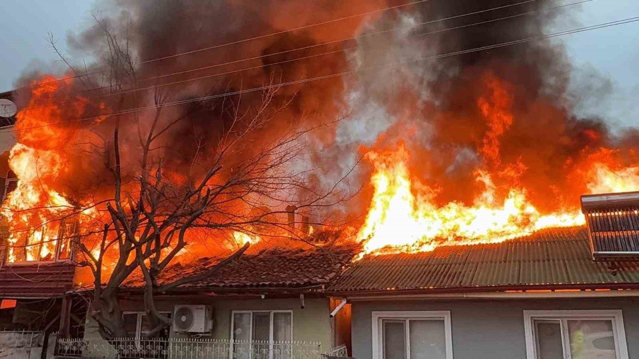Kediler üşümesin diye yakılan soba faciaya dönüştü: İki ev küle döndü