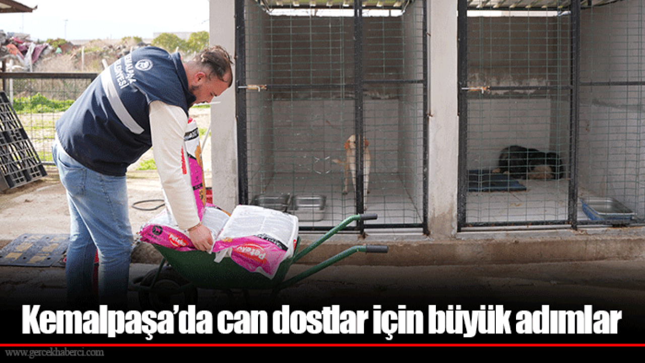 Kemalpaşa’da can dostlar için büyük adımlar