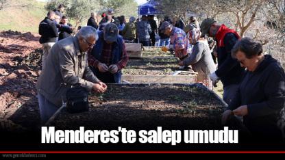 Menderes’te salep umudu