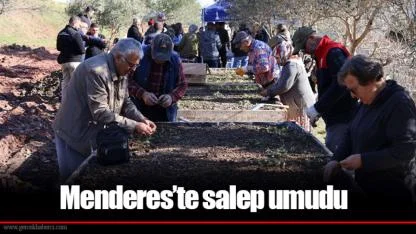 Menderes’te salep umudu