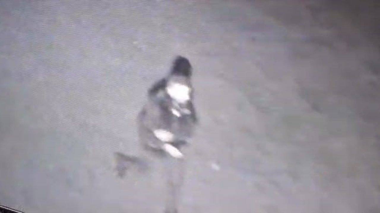 Polis kılığına girip 3 milyonluk vurgun yaptılar