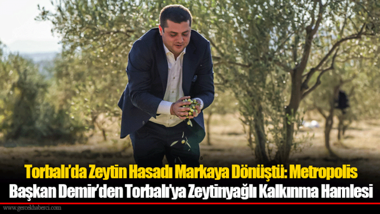 Torbalı’da Zeytin Hasadı Markaya Dönüştü: Metropolis