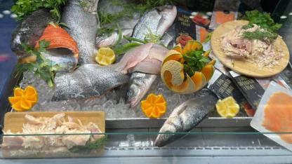 Türkiye su ürünleri ve hayvansal mamuller sektörü ihracatta 4 milyar doları aştı