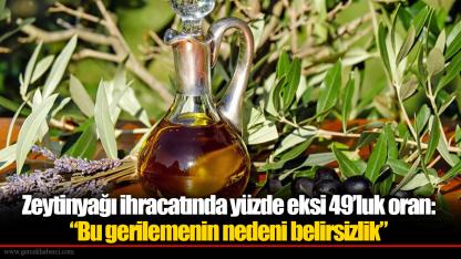 Zeytinyağı ihracatında yüzde eksi 49’luk oran: “Bu gerilemenin nedeni belirsizlik”