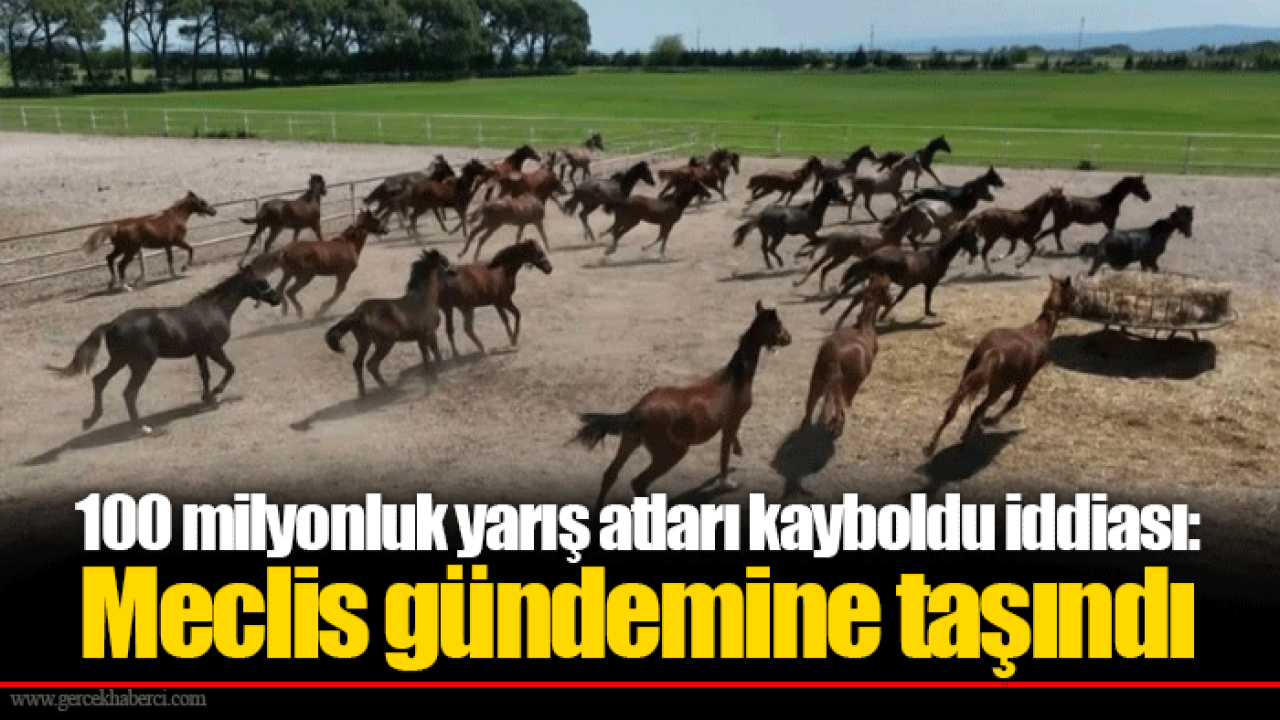 100 milyonluk yarış atları kayboldu iddiası: Meclis gündemine taşındı
