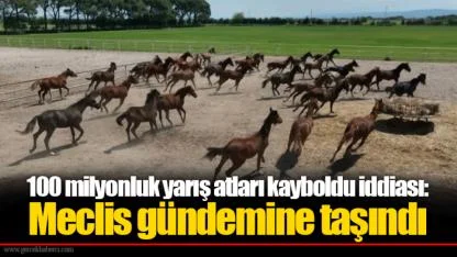100 milyonluk yarış atları kayboldu iddiası: Meclis gündemine taşındı
