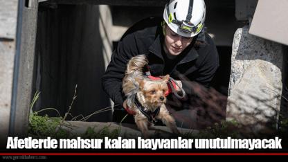 Afetlerde mahsur kalan hayvanlar unutulmayacak