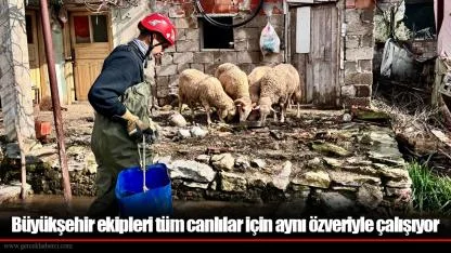 Büyükşehir ekipleri tüm canlılar için aynı özveriyle çalışıyor