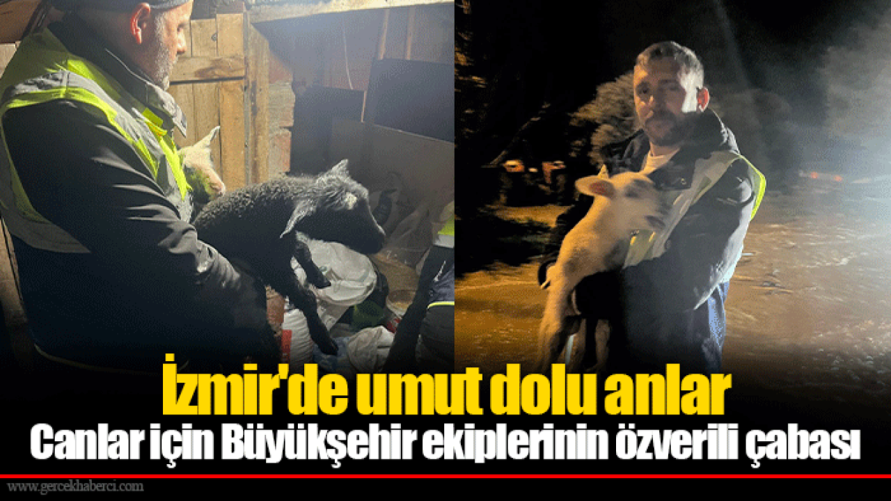 Canlar için Büyükşehir ekiplerinin özverili çabası