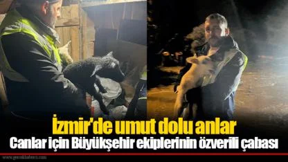 Canlar için Büyükşehir ekiplerinin özverili çabası