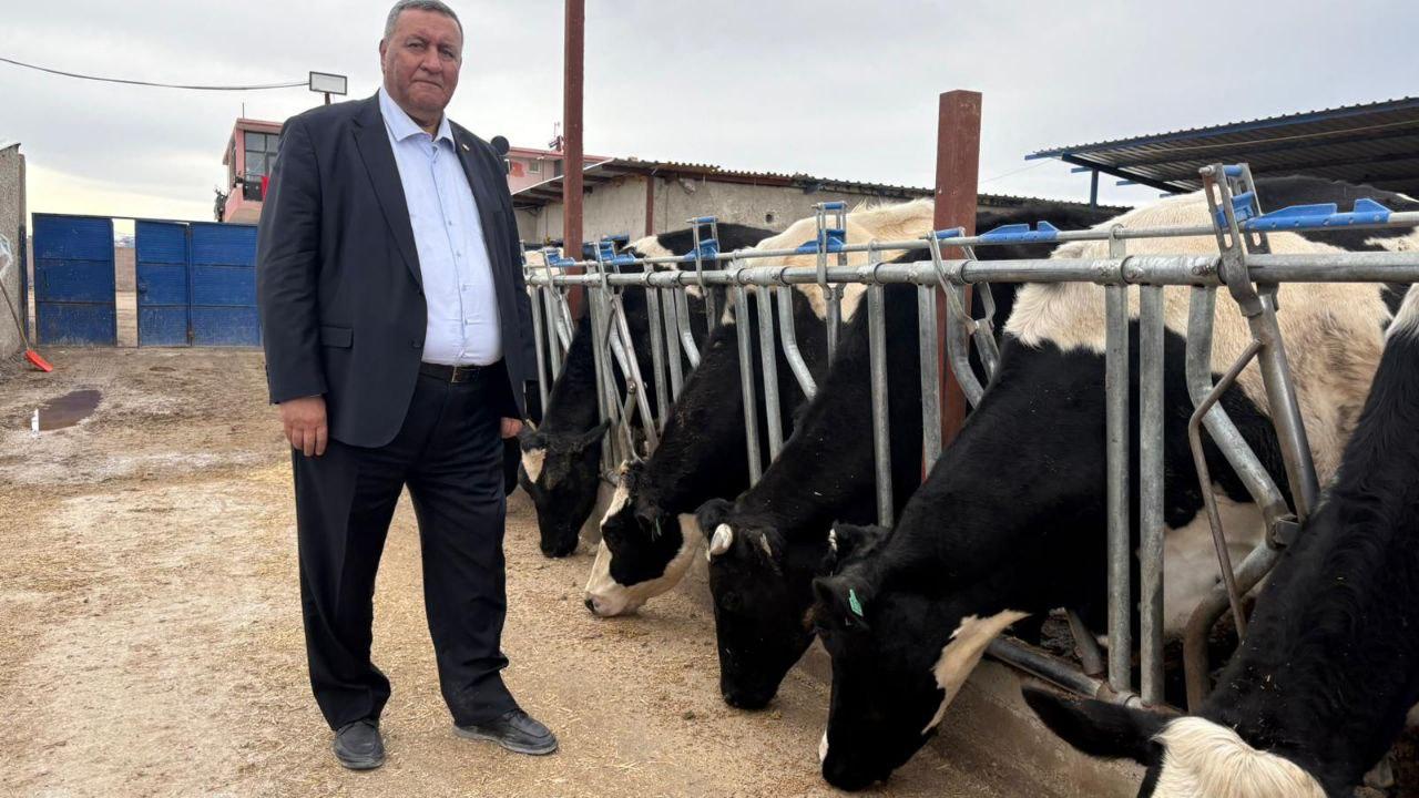 Gürer: “2025 Yılında 739 Bin Baş Hayvan İthal Edildi”