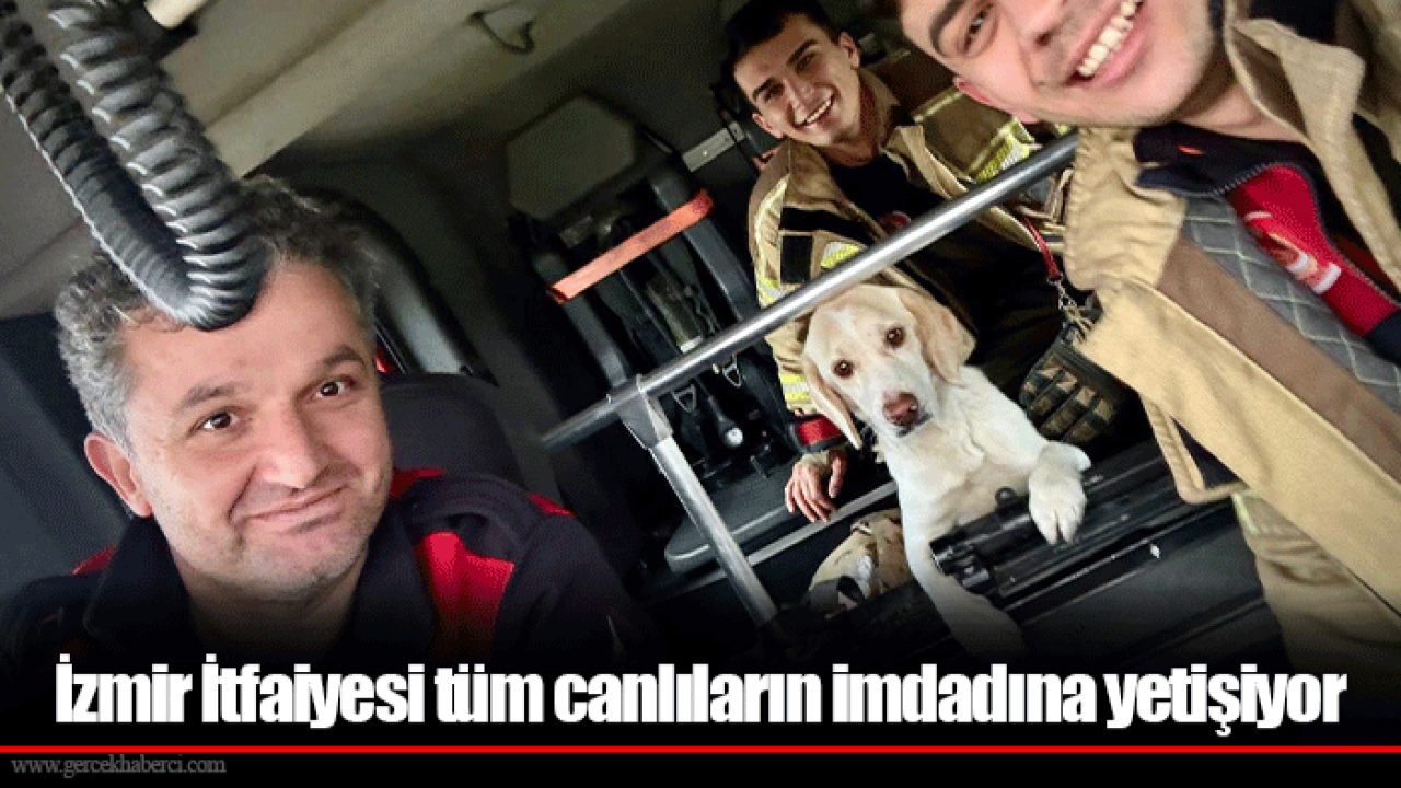 İzmir İtfaiyesi tüm canlıların imdadına yetişiyor