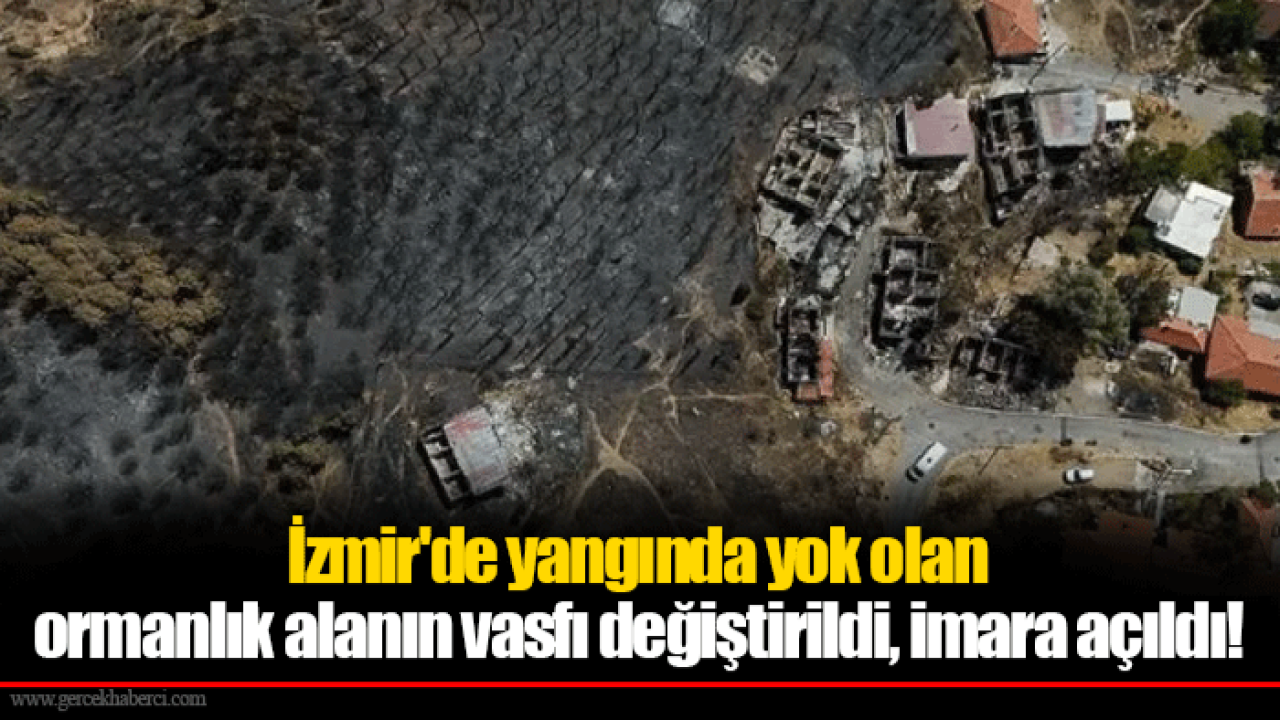 İzmir'de yangında yok olan ormanlık alanın vasfı değiştirildi, imara açıldı!