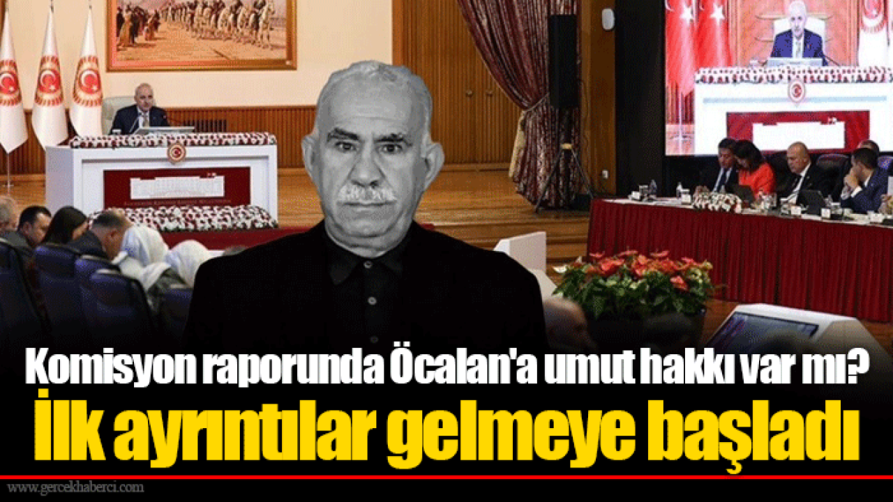 Komisyon raporunda Öcalan'a umut hakkı var mı? İlk ayrıntılar gelmeye başladı