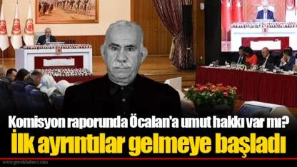 Komisyon raporunda Öcalan'a umut hakkı var mı? İlk ayrıntılar gelmeye başladı