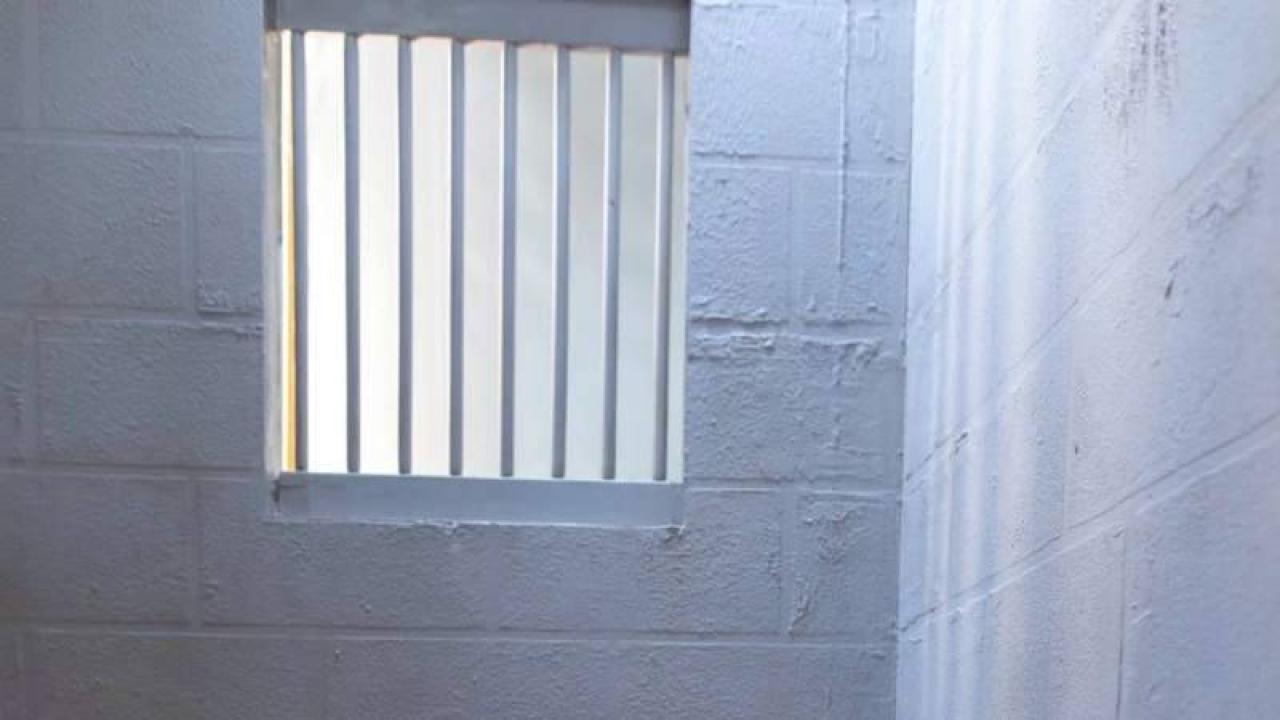 Kuyu tipi hapishaneleri incelemeye gelen yabancı heyete gözaltı ve sınır dışı: Bir kişinin darbedildiği iddia edildi