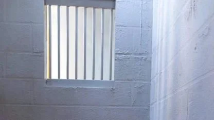 Kuyu tipi hapishaneleri incelemeye gelen yabancı heyete gözaltı ve sınır dışı: Bir kişinin darbedildiği iddia edildi