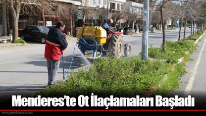 Menderes’te Ot İlaçlamaları Başladı