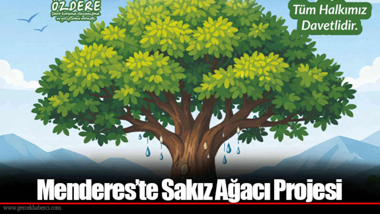 Menderes’te Sakız Ağacı Projesi