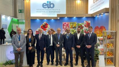 Yaş meyve sebze sektöründe en çok ihracat yapılan 20 ülkenin 10’u AB ülkesi