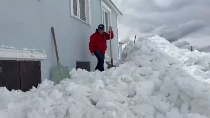 Akılalmaz olay: Ayılar bu kez kapıdan değil pencereden girdi