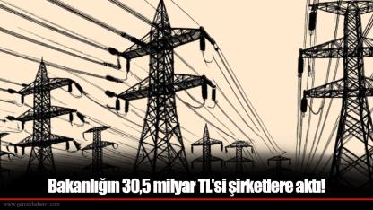 Bakanlığın 30,5 milyar TL'si şirketlere aktı! Özelleştirmenin bedeli