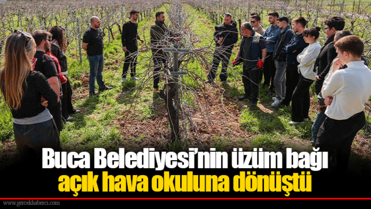 Buca Belediyesi’nin üzüm bağı açık hava okuluna dönüştü