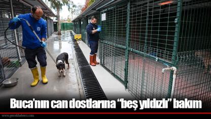 Buca’nın can dostlarına “beş yıldızlı” bakım