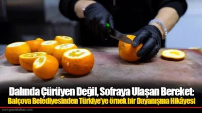 Dalında Çürüyen Değil, Sofraya Ulaşan Bereket: Balçova Belediyesinden Türkiye’ye örnek bir Dayanışma Hikâyesi