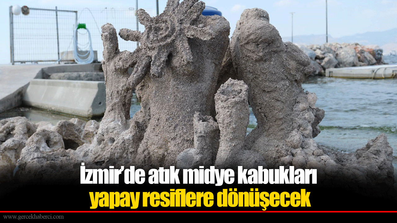Deniz kabuklarıyla Körfez’e yeni hayat.. İzmir’de atık midye kabukları yapay resiflere dönüşecek