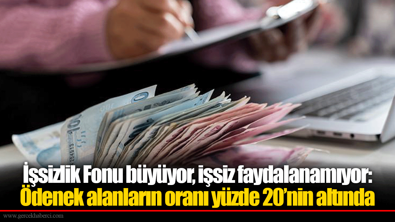 İşsizlik Fonu büyüyor, işsiz faydalanamıyor: Ödenek alanların oranı yüzde 20’nin altında