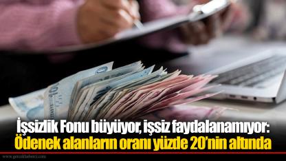 İşsizlik Fonu büyüyor, işsiz faydalanamıyor: Ödenek alanların oranı yüzde 20’nin altında