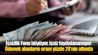 İşsizlik Fonu büyüyor, işsiz faydalanamıyor: Ödenek alanların oranı yüzde 20’nin altında