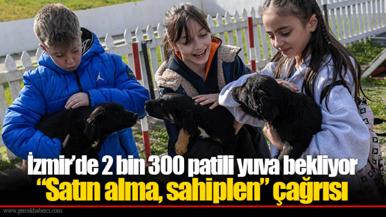 İzmir’de 2 bin 300 patili yuva bekliyor