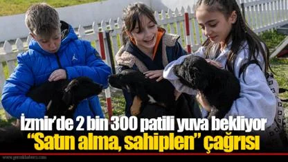 İzmir’de 2 bin 300 patili yuva bekliyor