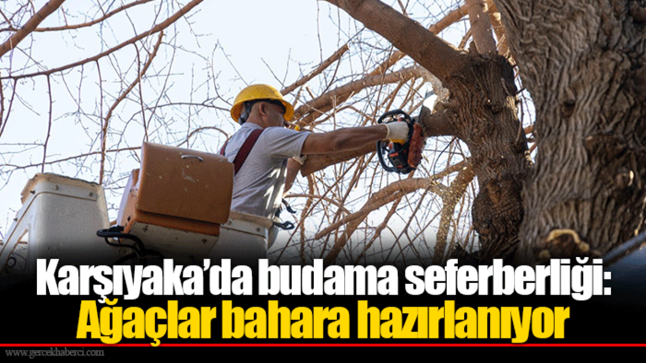 Karşıyaka’da budama seferberliği: Ağaçlar bahara hazırlanıyor