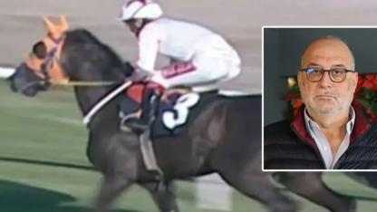 Kavurmadan İngiliz yarış atı çıkmıştı: Sahibine 132 bin TL ceza!