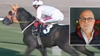 Kavurmadan İngiliz yarış atı çıkmıştı: Sahibine 132 bin TL ceza!